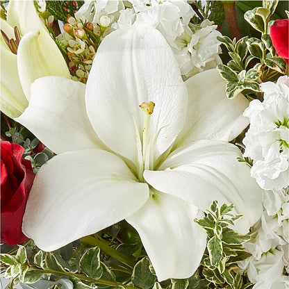 Twinkle Lights Bouquet – CARLSON & CO, Springfield GA