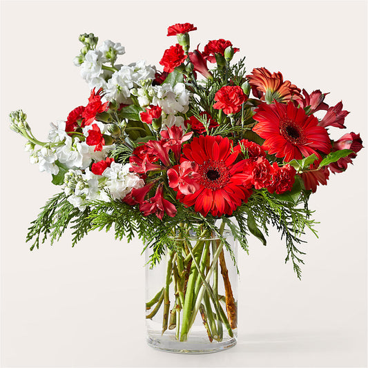 Holidaisy Bouquet – CARLSON & CO, Springfield GA