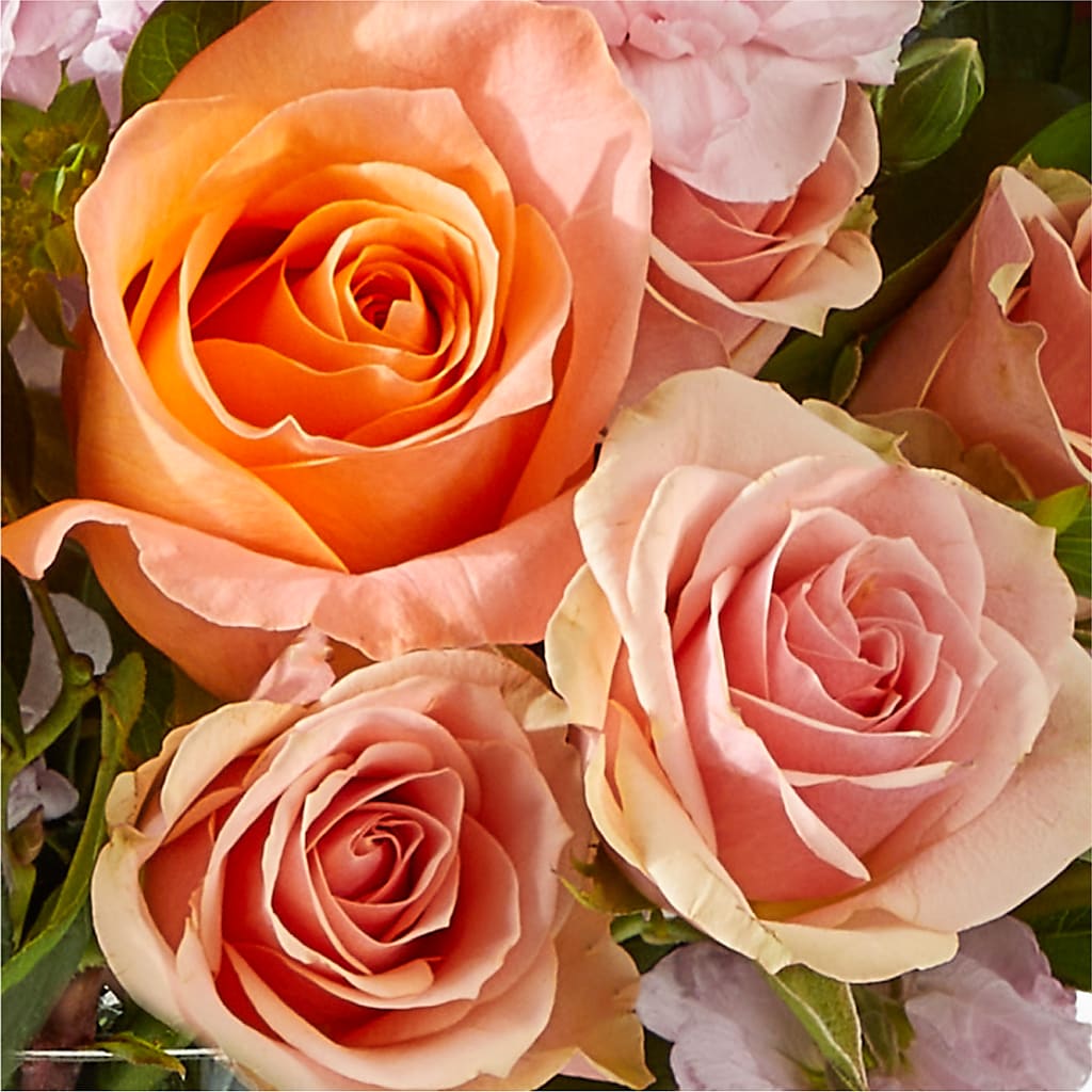 French Market Bouquet – CARLSON & CO, Springfield GA
