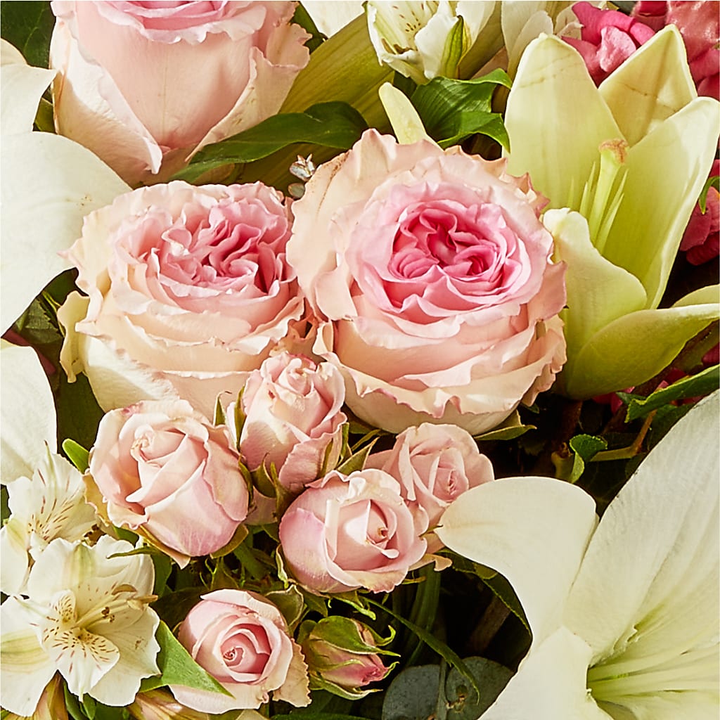 Ballet Slippers Bouquet – CARLSON & CO, Springfield GA