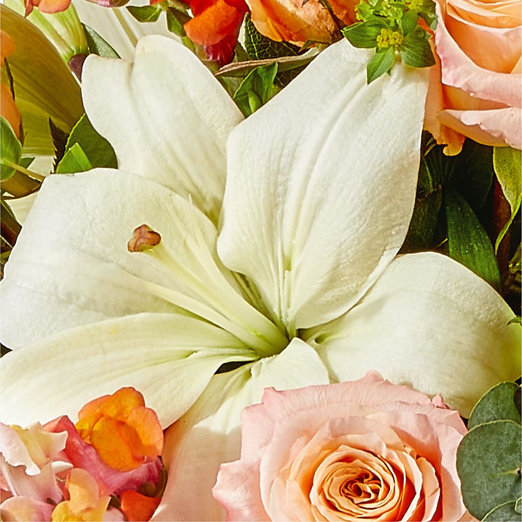Grapefruit Splash Bouquet – CARLSON & CO, Springfield GA
