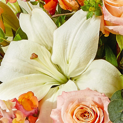 Grapefruit Splash Bouquet – CARLSON & CO, Springfield GA