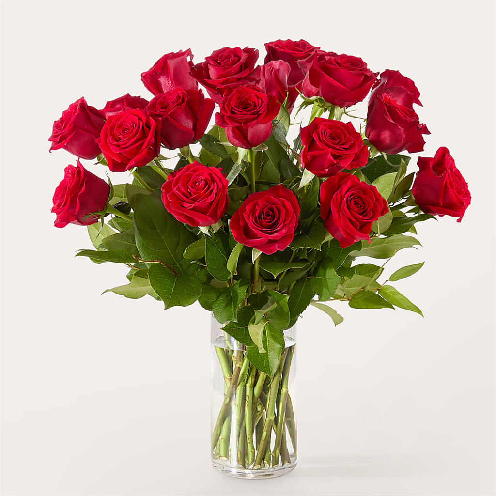 The One Red Rose Bouquet – CARLSON & CO, Springfield GA