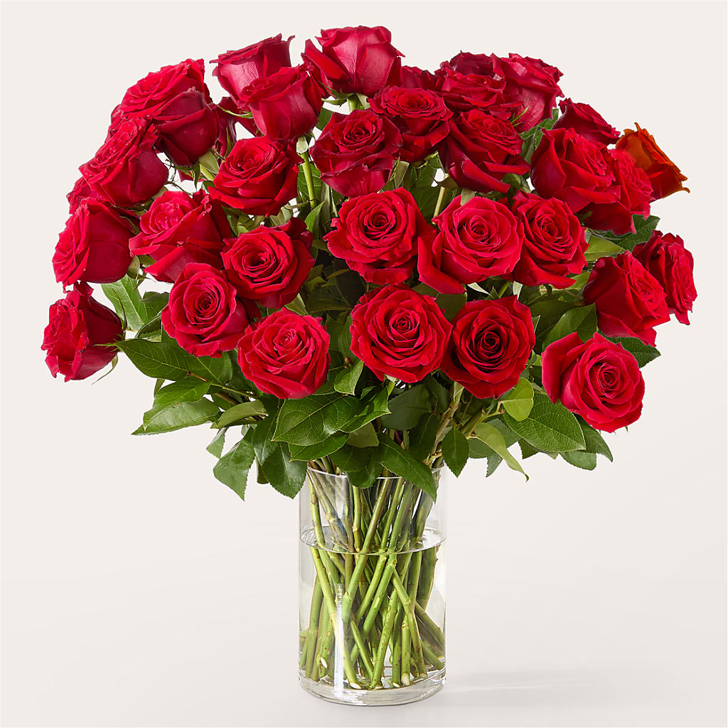 The One Red Rose Bouquet – CARLSON & CO, Springfield GA