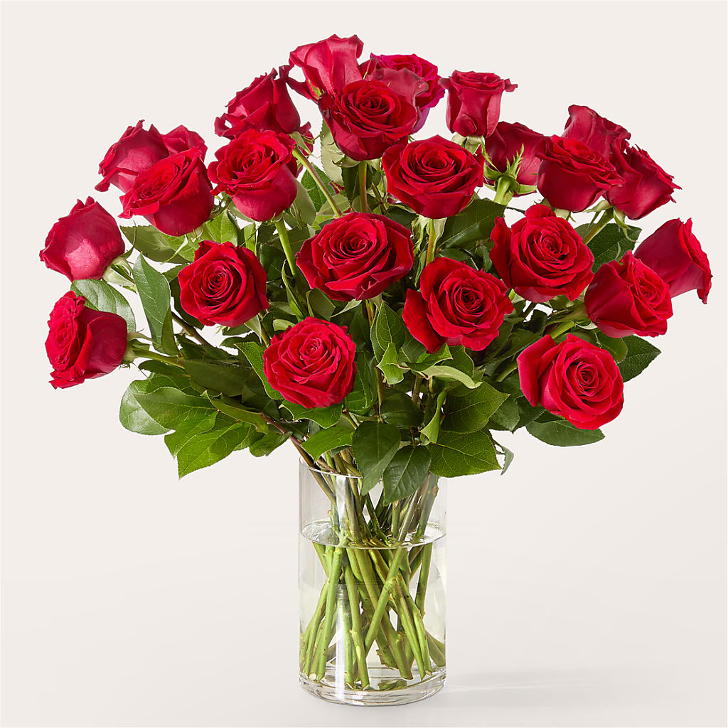 The One Red Rose Bouquet – CARLSON & CO, Springfield GA