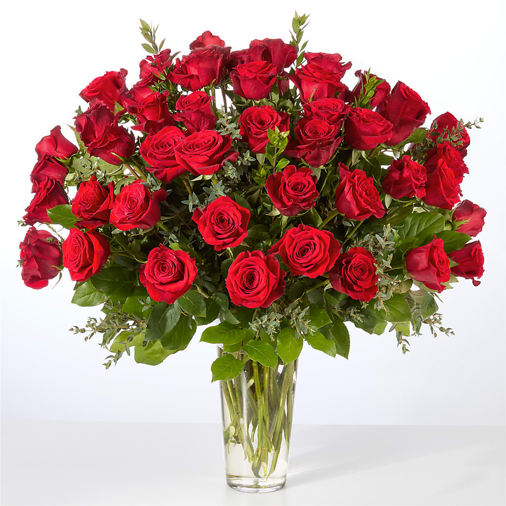Forever Yours Fifty Stem Red Rose Bouquet – CARLSON & CO, Springfield GA
