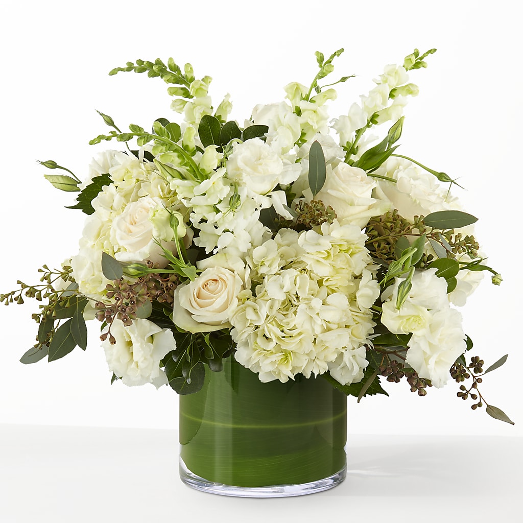 The Gallery – CARLSON & CO, Springfield GA