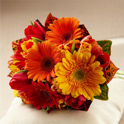 Sunglow Bouquet – CARLSON & CO, Springfield GA
