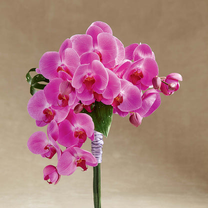 Glorious Bouquet – CARLSON & CO, Springfield GA